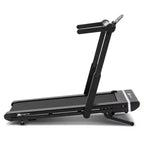 Tapis roulant électrique XTERRA Fitness WS300 WalkSlim