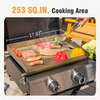 Garden GROTTO 2-Burner Propane BBQ Grill with Cast Iron Griddle - 20,000 BTU for Patio and Backyard