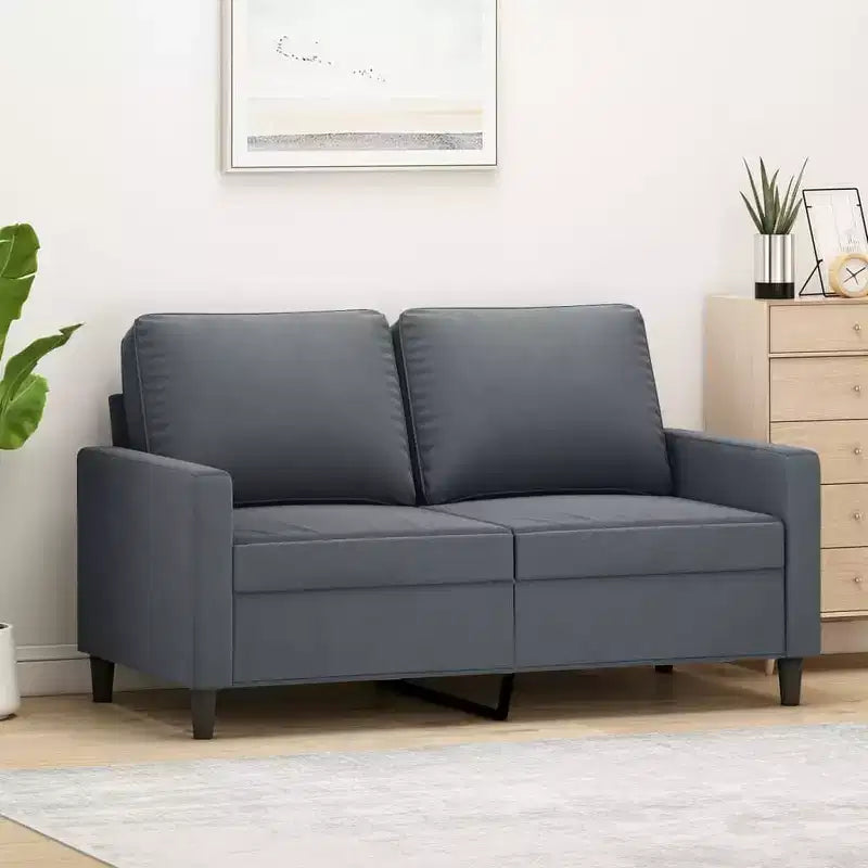 vidaXL Canapé 2 places en velours gris foncé – Canapé design contemporain avec cadre en métal robuste et rembourrage épais