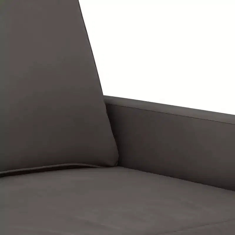 vidaXL Canapé 2 places en velours gris foncé – Canapé design contemporain avec cadre en métal robuste et rembourrage épais