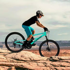 NAYSAYE 26 Inch Mountain Bike Steel Frame 21 Speed Suspension Fork Adult Bike for Outdoor Riding, Blue, 68.00*27.00*38.00