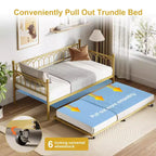 Twin Size Daybed with Trundle, Metal Twin Size Day Bed, Sofa Beds Frame with Pull Out Bed, No Box Spring Needed, for Living Room, Bedroom