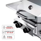 R.W.FLAME Barbecue portable 2 feux en acier inoxydable - 16 000 BTU, acier inoxydable 304, garantie 3 ans