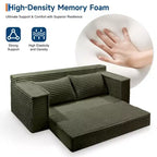 75 Convertible Sofa Bed, Boneless Couch Bed with 2 Pillows, Folding Pull Out Couch, Loveseat Sleeper Sofa for Living Room, No Assembly