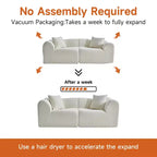 MAYEERTY 70 In 2 SeaterModern Velvet Loveseat Sofa with Throw Pillows Compact Space-Saving Couch