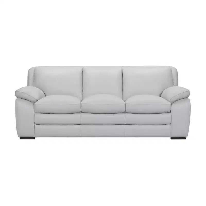 Zanna Genuine Leather Sofa Dove Gray - Armen Living