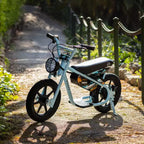 Droyd Kids' Weeler 14 Step Over Mini Electric Bike