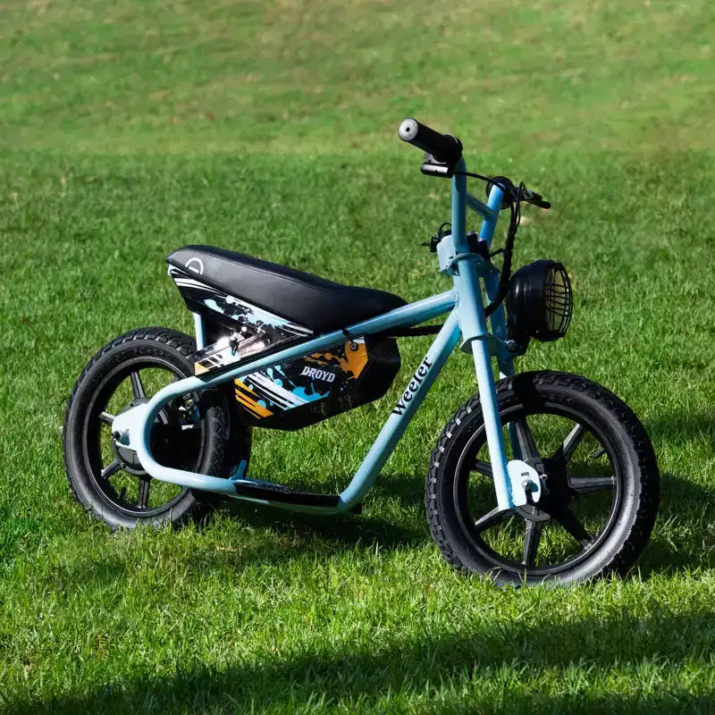 Droyd Kids' Weeler 14 Step Over Mini Electric Bike
