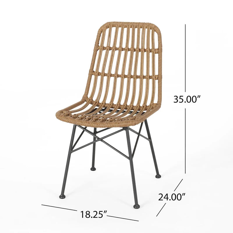 Assisi Wicker Dining Chairs (Set of 2) by Christopher Knight Home