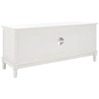 SAFAVIEH Echo 2-Door 2-Shelf Storage TV Media Stand - 47.3 W x 15.8 L x 20 H - 47Wx16Dx20H
