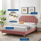 Performance Velvet Queen Platform Bed with Tufted Headboard - Gold Legs