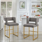 Modern Fashion Counter Height Bar Stools Set of 2