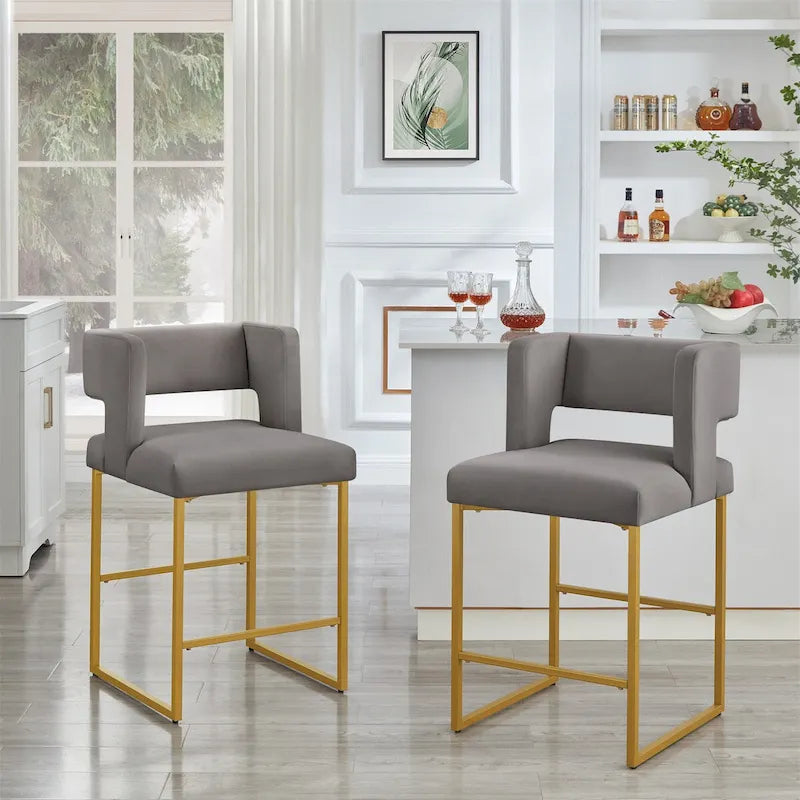 Modern Fashion Counter Height Bar Stools Set of 2