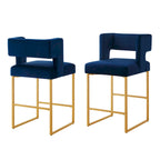 Modern Fashion Counter Height Bar Stools Set of 2