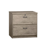 Saint Birch Honduras 2 Drawer Lateral Filing Cabinet